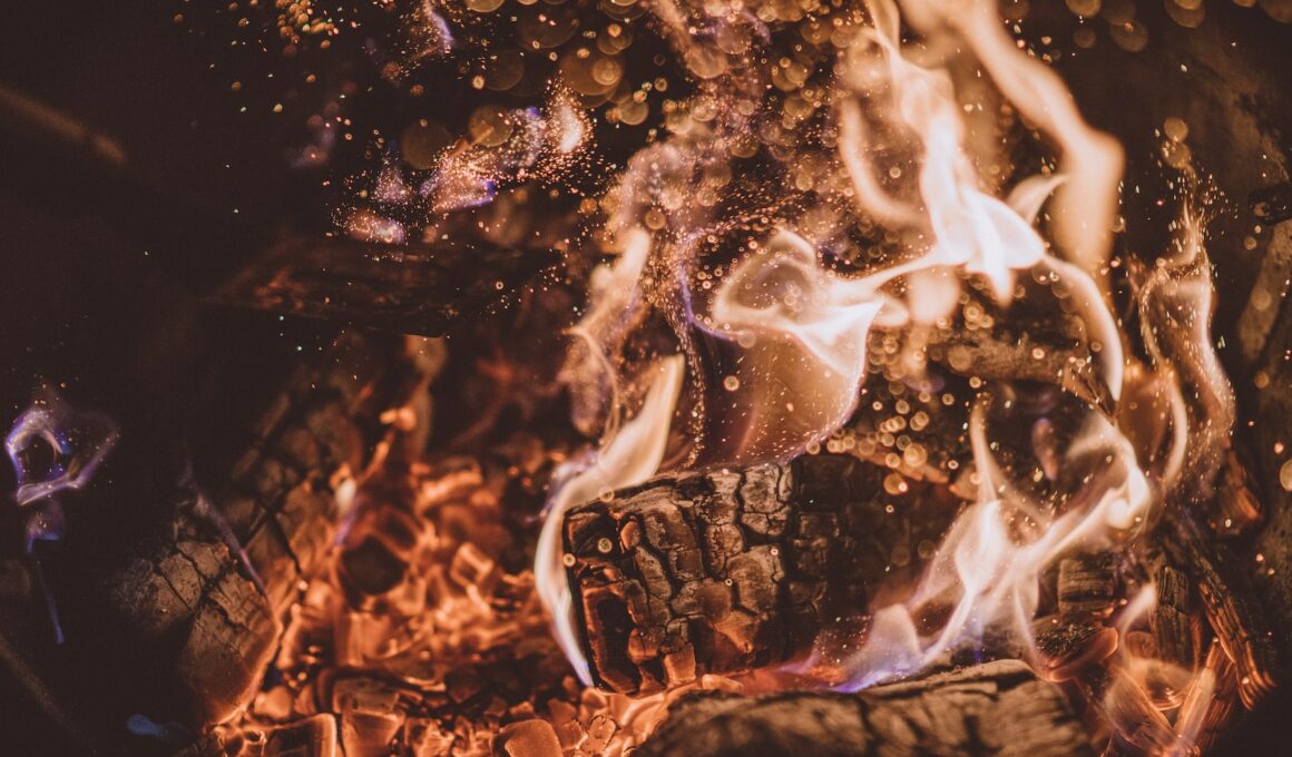 firewood burning