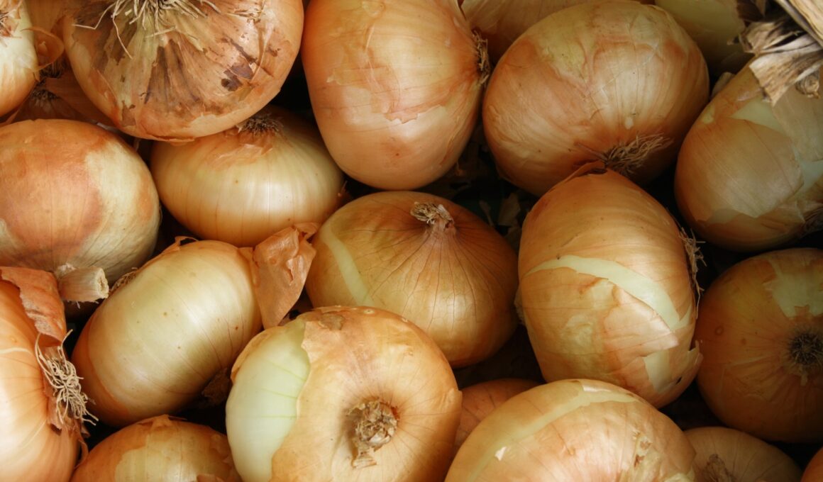 brown onion lot