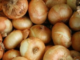 brown onion lot
