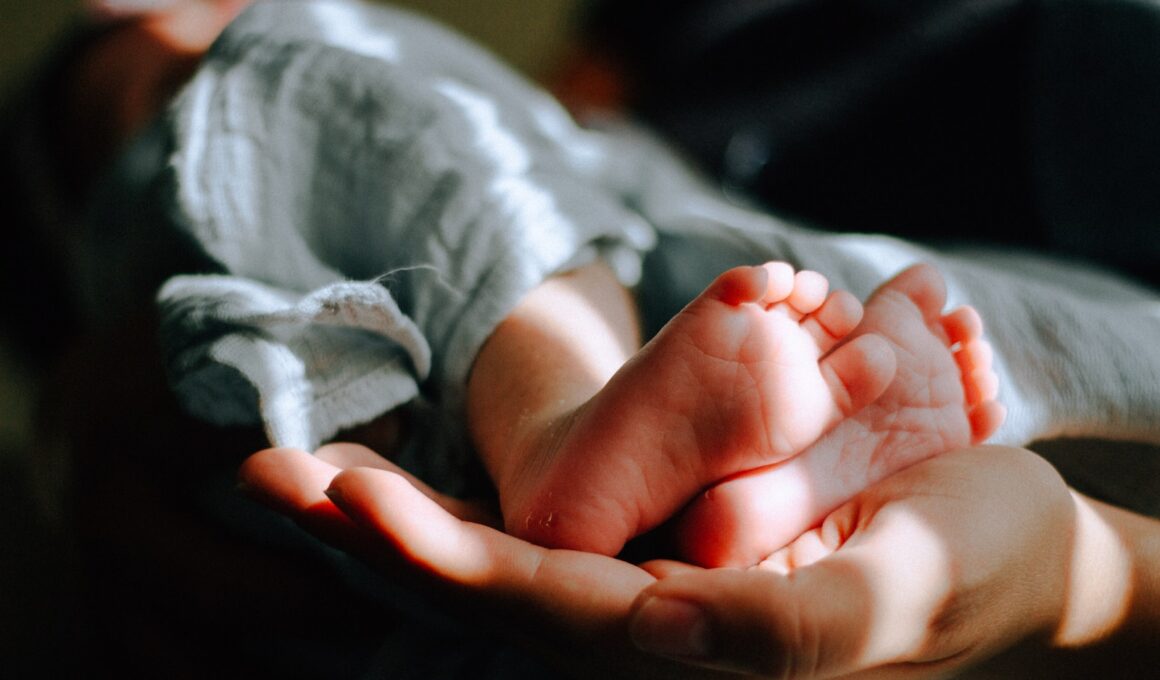 person holding baby feet