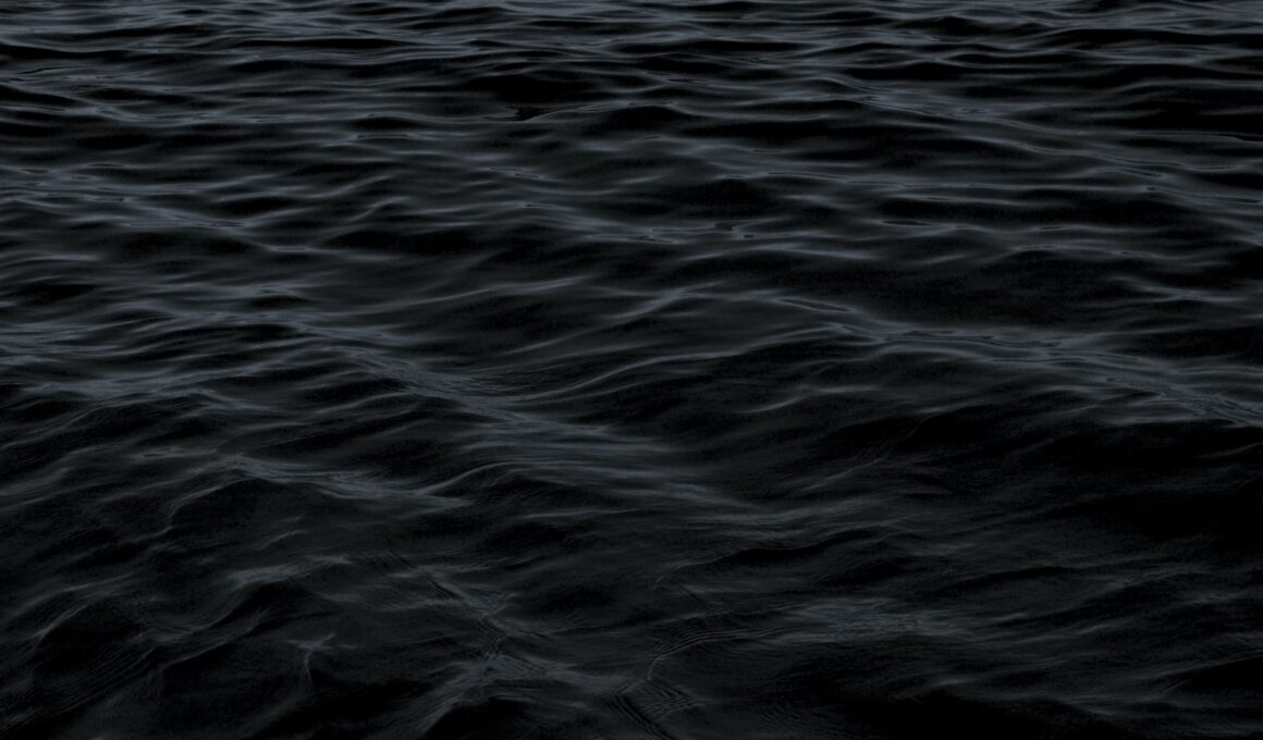 body of water photo
